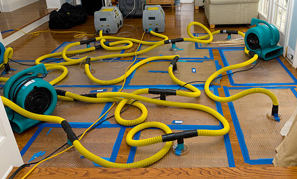Professional Structural Drying And Dehumidification technician working in Monee, IL